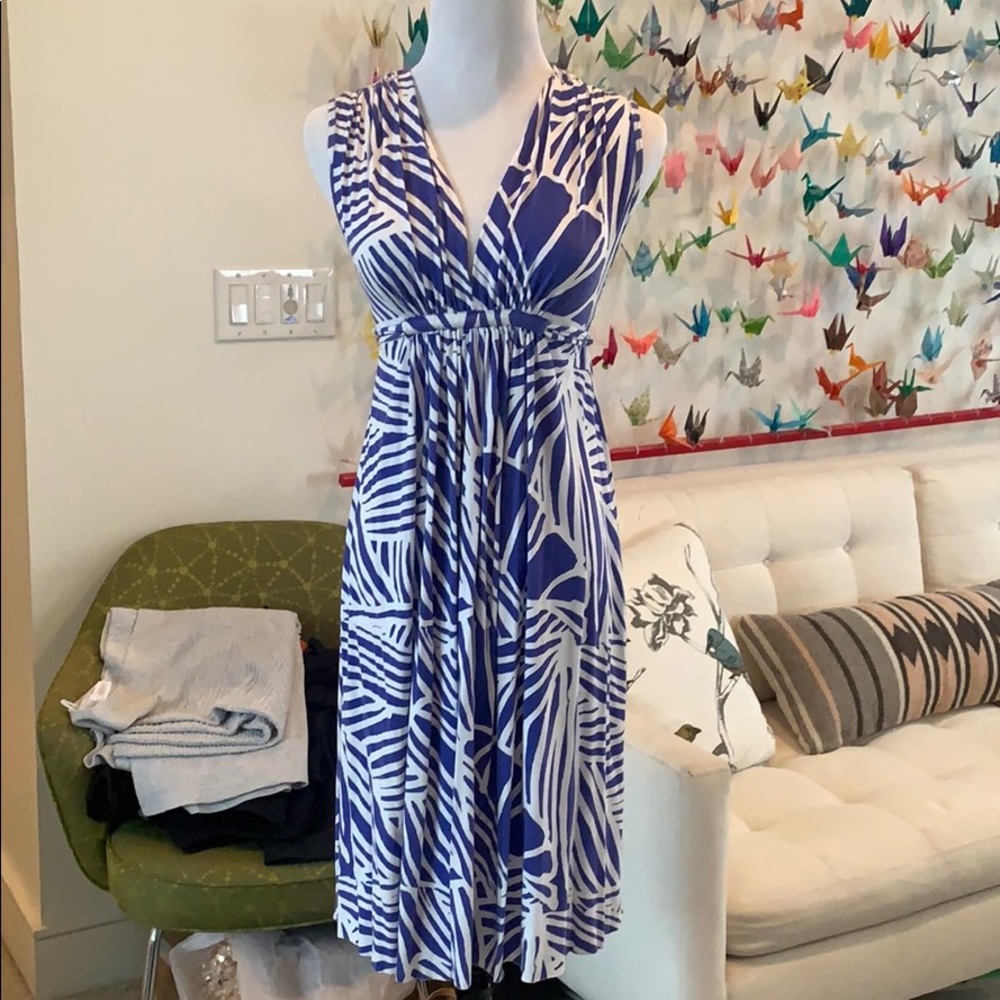 Rachel Pally dress